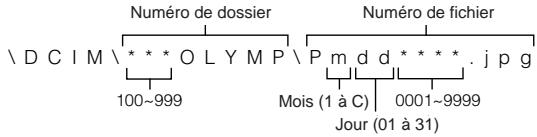 OLYMPUS C-3030 ZOOM - À propos du numéro de fichier et du numéro de dossier - 1
