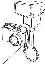 OLYMPUS C-3030 ZOOM - When using the FL-40 extension flash only: - 1