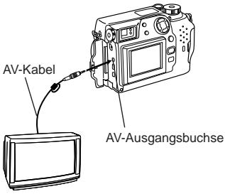 OLYMPUS C-3030 ZOOM - Anschluß an ein Fernsehgerät - 1
