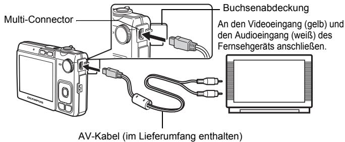OLYMPUS C520 - Wiedergabe auf einem Fernsehgerät - 1