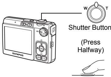 OLYMPUS C520 - b. Focus. - 1