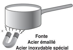 Fonte Acier émaillé Acier inoxydable spécial