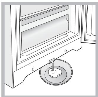 INDESIT UIAA 10 - Huurteenpoisto laitteesta - 1