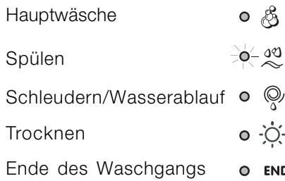 INDESIT IWDC 71680 - Laufende Programmphase - 1