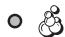 INDESIT IWDC 71680 - Utsatt start - 1