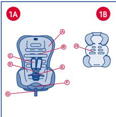 1A 1B