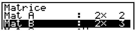 CASIO GRAPH 100 USB, GRAPH 100+ USB - - Pour introduire des valeurs dans la matrice - 3
