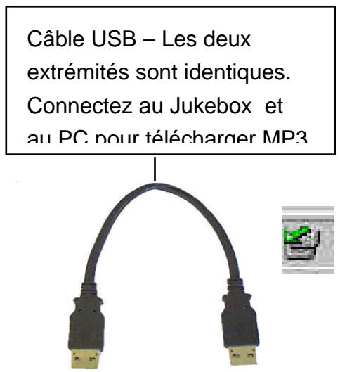 ARCHOS JUKEBOX RECORDER - Installation du pilote USB (1 &amp; 2) pour PC : - 2