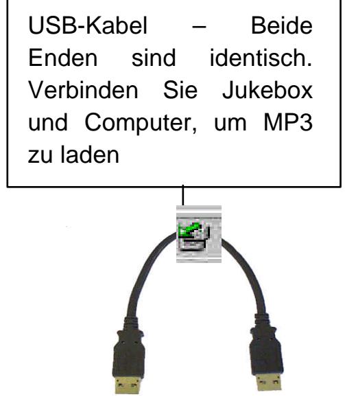 ARCHOS JUKEBOX RECORDER - - INSTALLIERUNG DES PC USB-TREIBERS UND DER MUSICMATCH™-SOFTWARE - 2