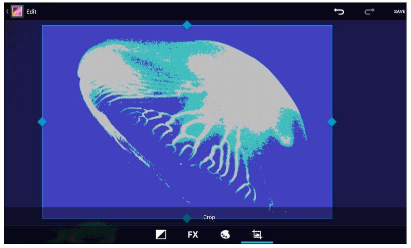ARCHOS 101 G9 TURBO ICS 16 GO - Sélectionner une photo - 6