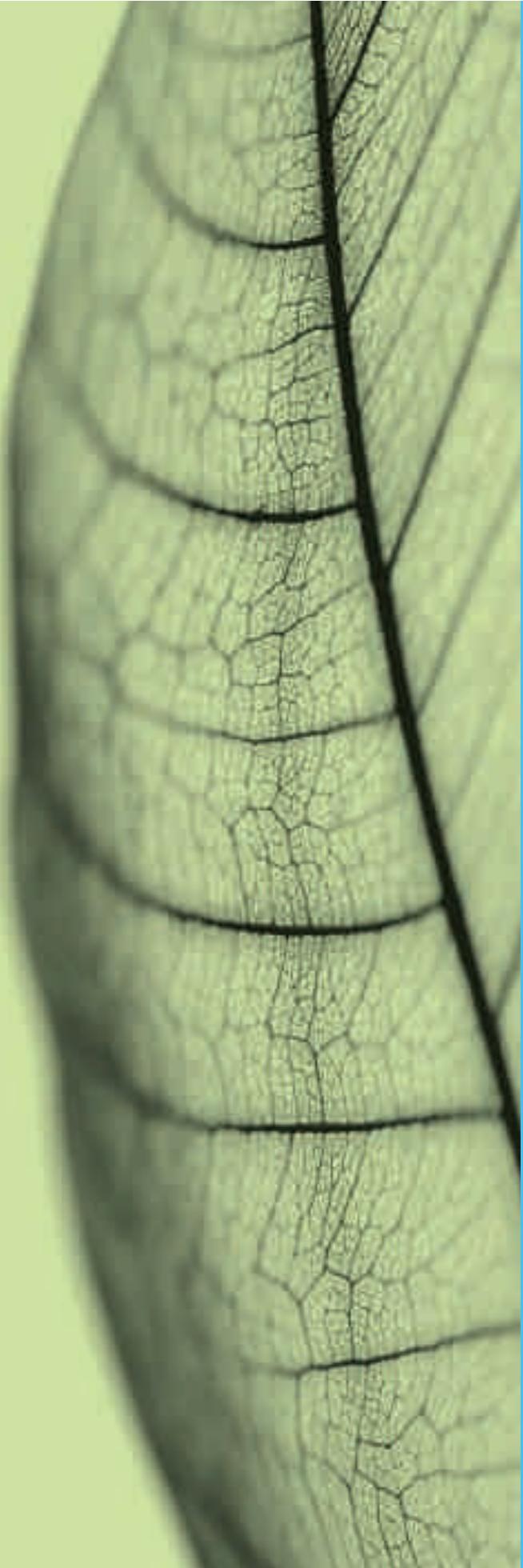 FORD TOURNEO - Recycler pour de bon - 1