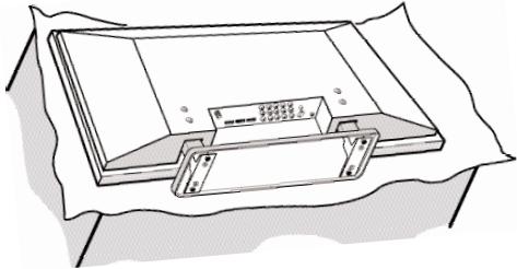 SANYO DP50747 - Protection de l'ecran d'affichage PLASMA - 4