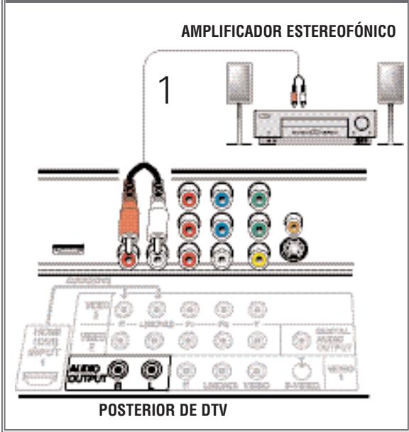 SANYO DP50747 - LA SALIDA ANALOGICA DE AUDIO - 1