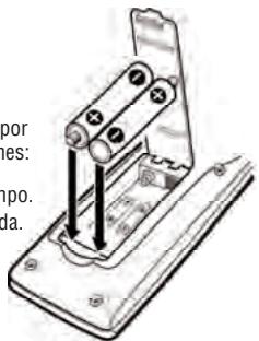 SANYO DP50747 - PRECAUCIONES - 1