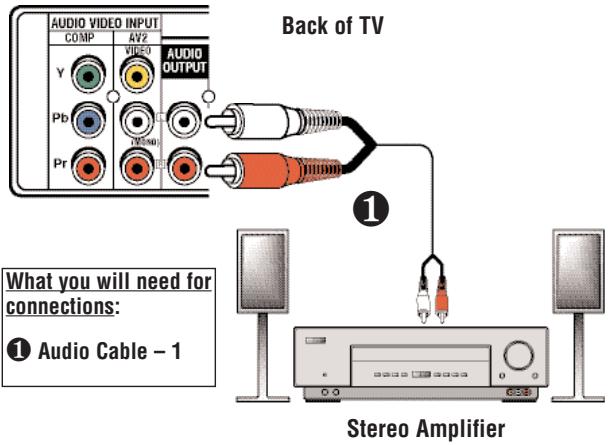 SANYO DS27425 - Quick Tips - 1