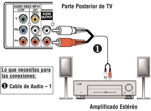 SANYO DS27425 - Consejos Rápidos - 1