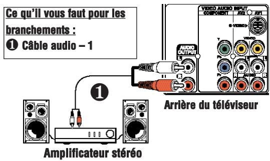 SANYO DS27820 - BRANCHEMENT D'UN AMPLIFICATEUR STÉRÉO DANS LES PRISES DE SORTIE AUDIO - 1