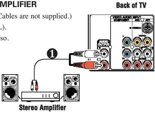 SANYO DS27820 - CONNECTING AUDIO OUT JACKS TO A STEREO AMPLIFIER - 1