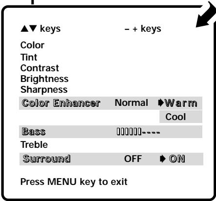 SANYO DS27910 - Adjust the picture/sound manually: - 2