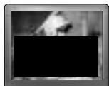 SANYO DS27910 - Conseils - 1