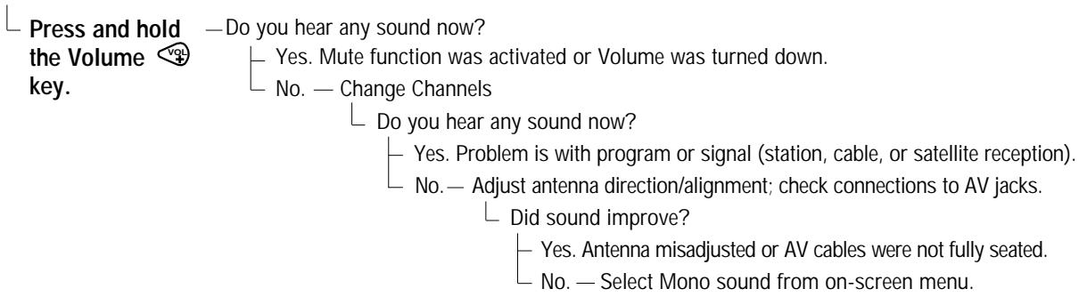 SANYO DS27910 - No sound, Poor Stereo sound - 1