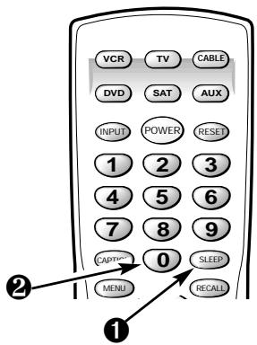 SANYO DS27910 - D-Suggestive Dialog - 2
