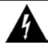 SANYO DS32225 - RISK OF ELECTRIC SHOCK DO NOT OPEN - 1