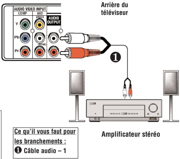 SANYO DS32225 - Conseils - 1