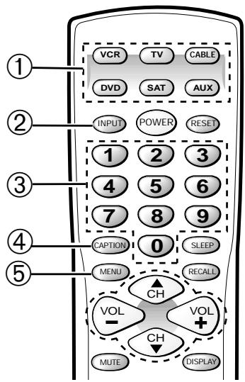 SANYO DS32830H - REMOTE CONTROL KEYS - 1