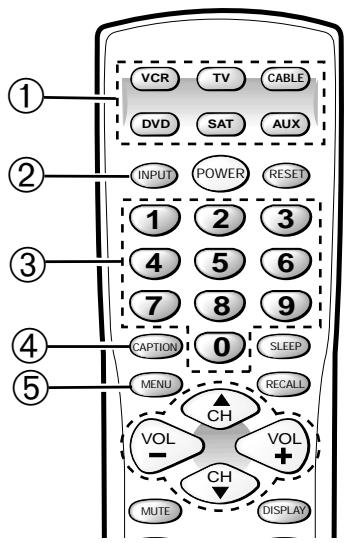 SANYO DS32830H - TECLAS DEL CONTROL REMOTO - 1
