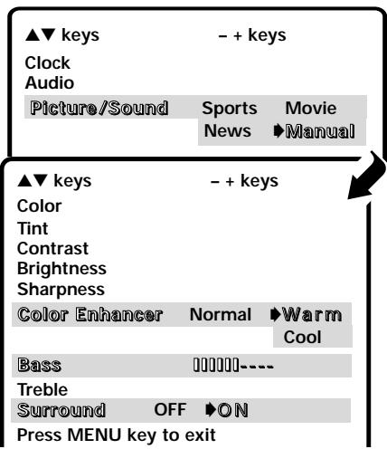 SANYO DS32830H - INITIAL CHANNEL SETUP - 1