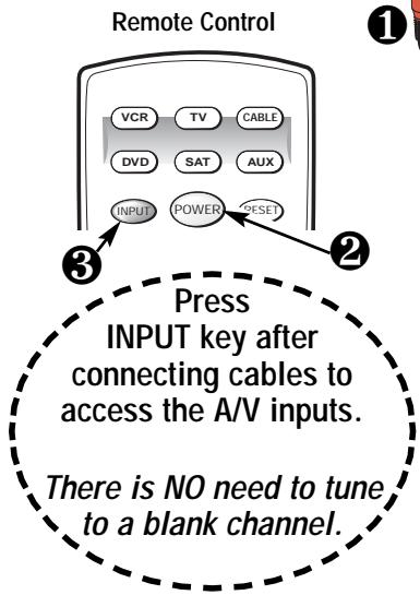 SANYO DS35224 - What you will need for connections: - 2