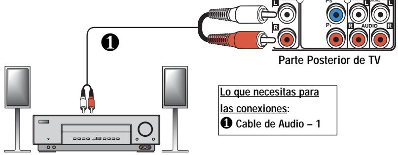 SANYO DS35224 - CONECTE UN AMPLIFICADOR ESTÉREO A LAS SALIDAS DE AV - 2