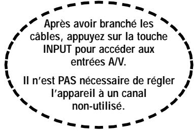 SANYO DS35224 - Branchement d'un lecteur de videodisque - 2