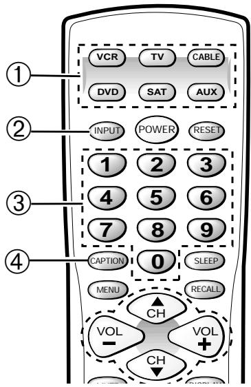SANYO DS36930 - REMOTE CONTROL KEYS - 1