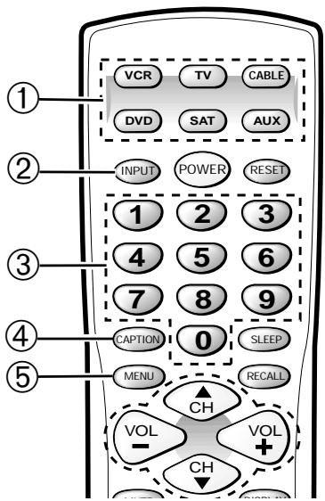 SANYO DS36930 - TECLAS DEL CONTROL REMOTO - 2