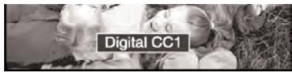 SANYO HT27546 - TO VIEW CAPTIONS - 2