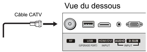 SANYO AVP-429 - Branchement du cable - 1