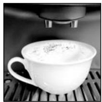 SOLAC CA4816 - Cappuccino - 11