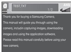 SAMSUNG I8 PINK - Modalità MULTIMEDIA - 4