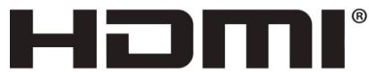 SAMSUNG DP300A2A - HDMI - 1
