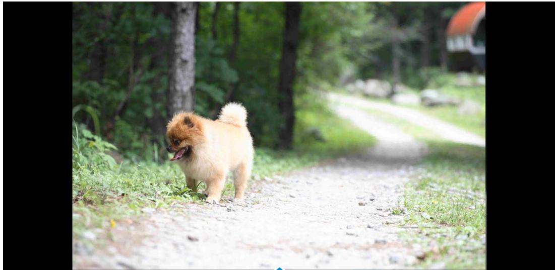 SAMSUNG DP700A7D-S02FR,  DP700A3D-S01FR - Retouche photo - 1