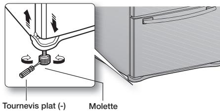 SAMSUNG RF28HMEDBSR - Comment ajuster le niveau - 1