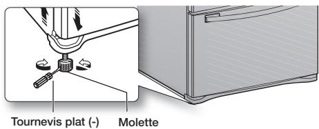 SAMSUNG RF28HMEDBSR - Déplacement du réfrigérateur - 1