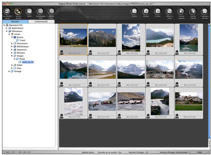 CANON EOS UTILITY VERSION 2.6 - Vérifiez les images téléchargées. Fenêtre principale de DPP - 1