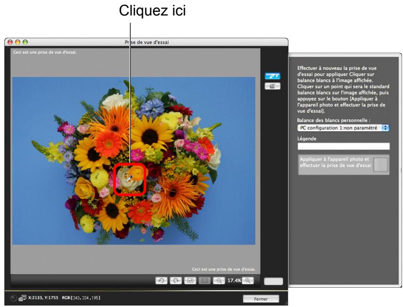 CANON EOS UTILITY VERSION 2.6 - Cliquez sur un point qui deviendra le standard du blanc. - 1