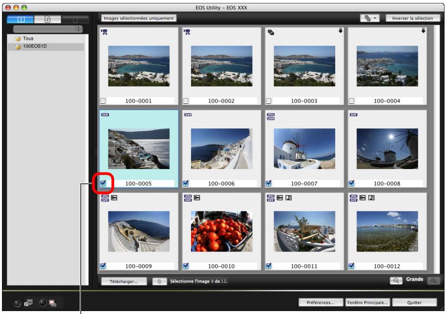 CANON EOS UTILITY VERSION 2.6 - Visionnez les images et cochez celles que vous souhaitez télécharger. - 1