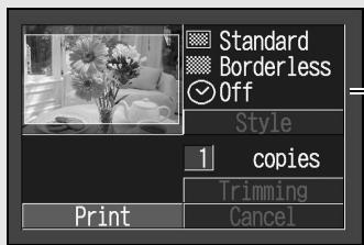 CANON CP-300 - Printing  p. 28 - 1