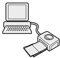 CANON CP-300 - Installez les logiciels sur l'ordinateur. - 4