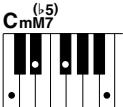 YAMAHA DGX-205 - Standard Chords. - 22